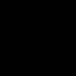 Meet your Posher, Abraham